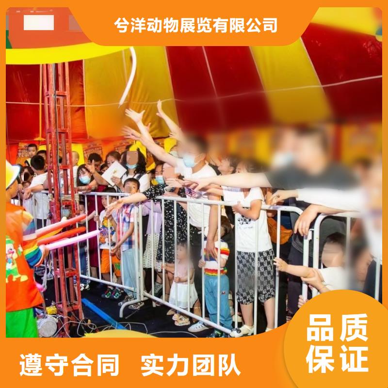 萌宠动物展览正规公司