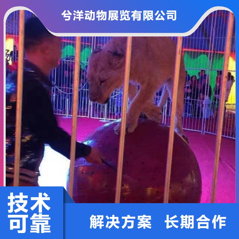 萌宠展出租正规厂家