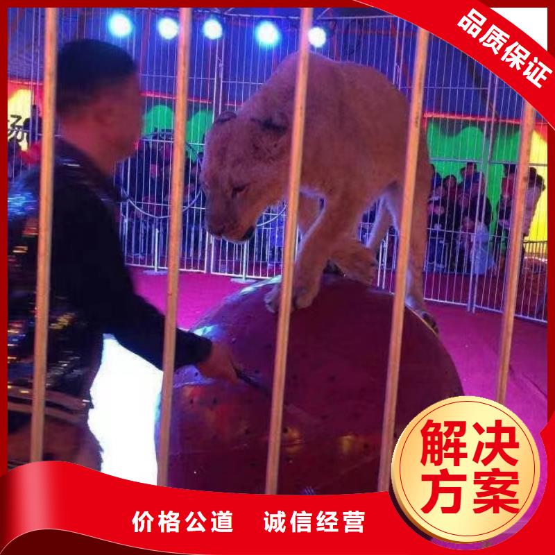 萌宠动物展览正规公司