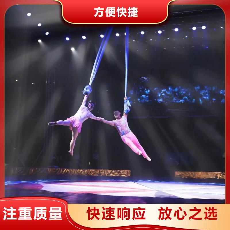 马戏团/羊驼【海狮表演出租】品质好