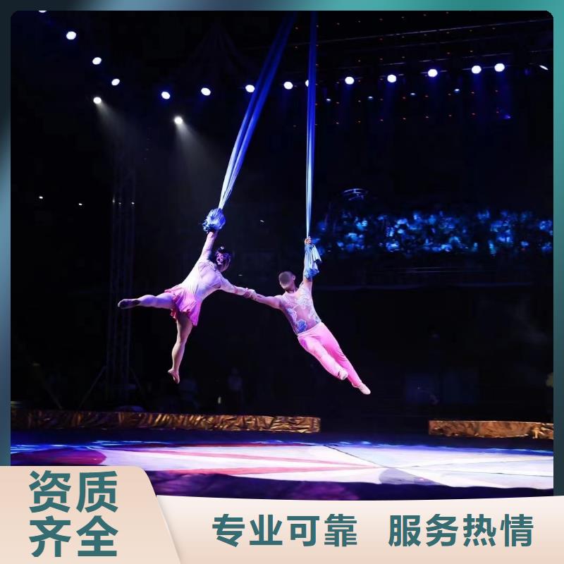 马戏团/羊驼马戏团表演实力雄厚