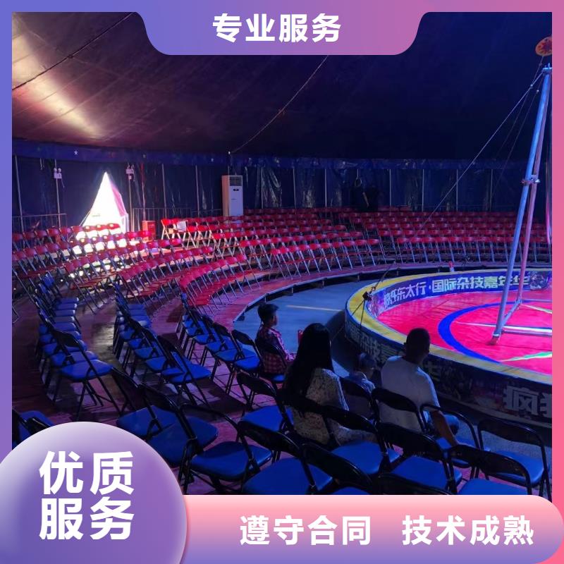 马戏团/羊驼马戏团表演实力雄厚
