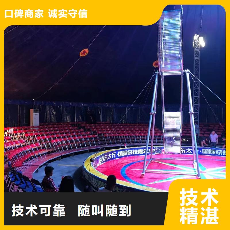 马戏团/羊驼【海狮表演出租】品质好