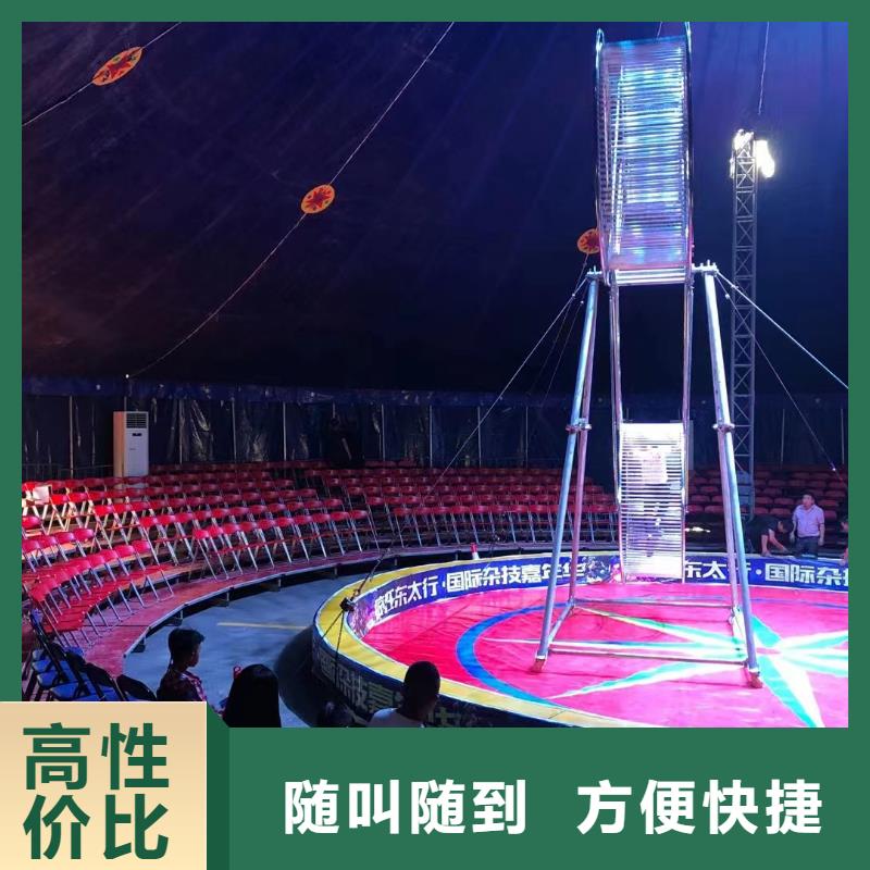 鹦鹉表演出租