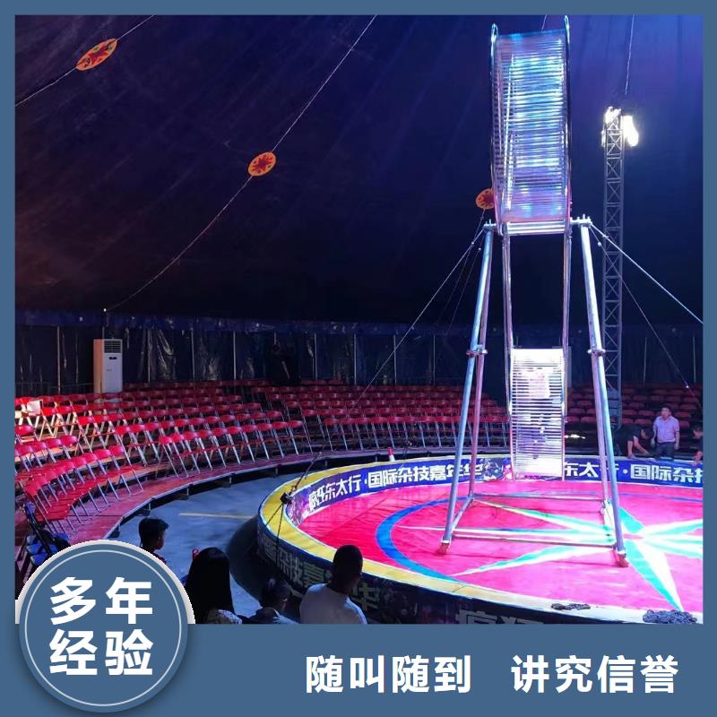 哪里有羊驼租赁的一手资源