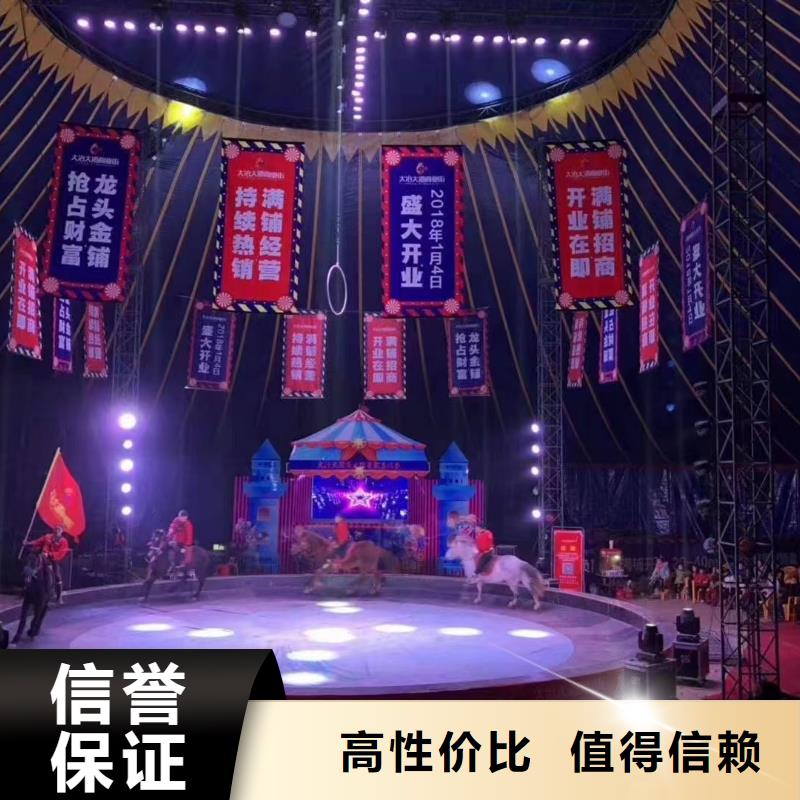马戏团/羊驼【海狮表演出租】品质好