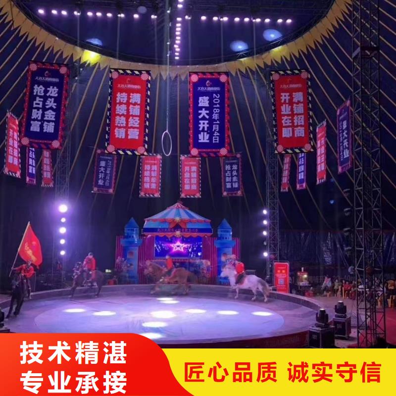 鹦鹉表演出租