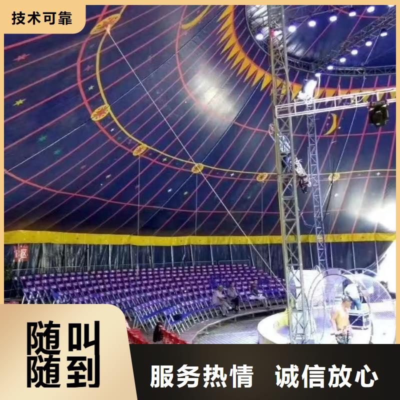马戏团/羊驼【海狮表演出租】品质好