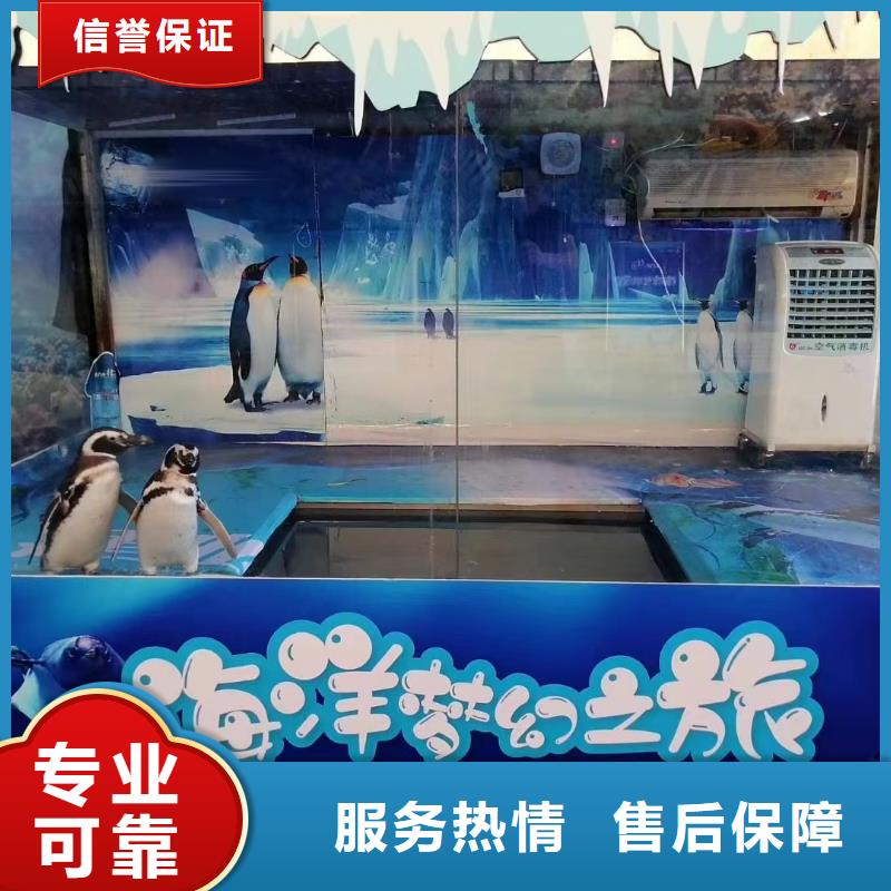 海洋生物展出租品种多价格低