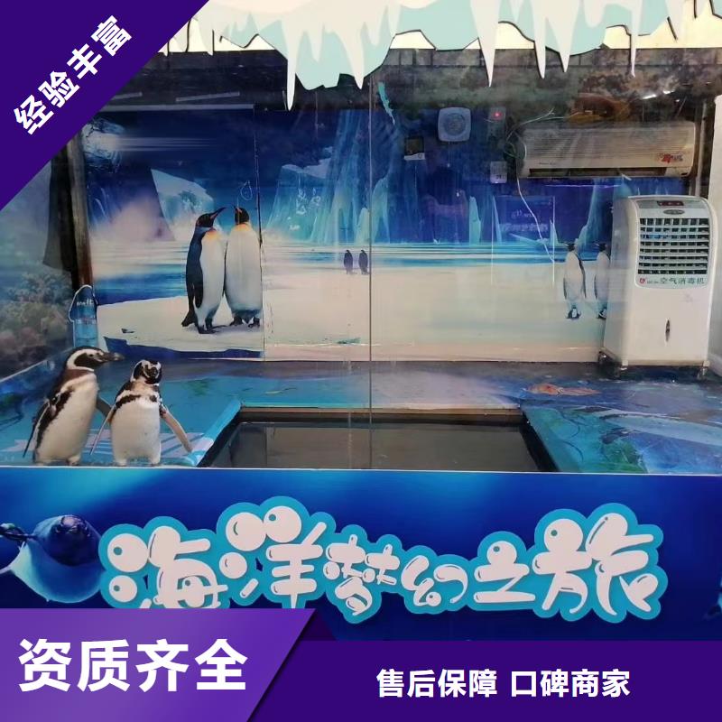 哪有出租企鹅的