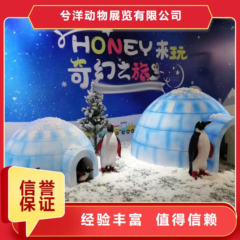 哪有出租企鹅展览的商场活动