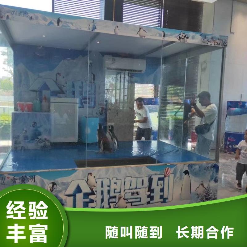 出租美人鱼表演