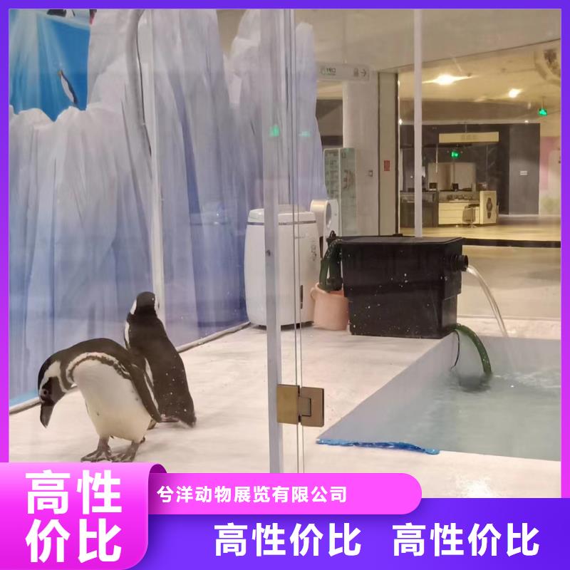 海洋生物展出租品种多价格低