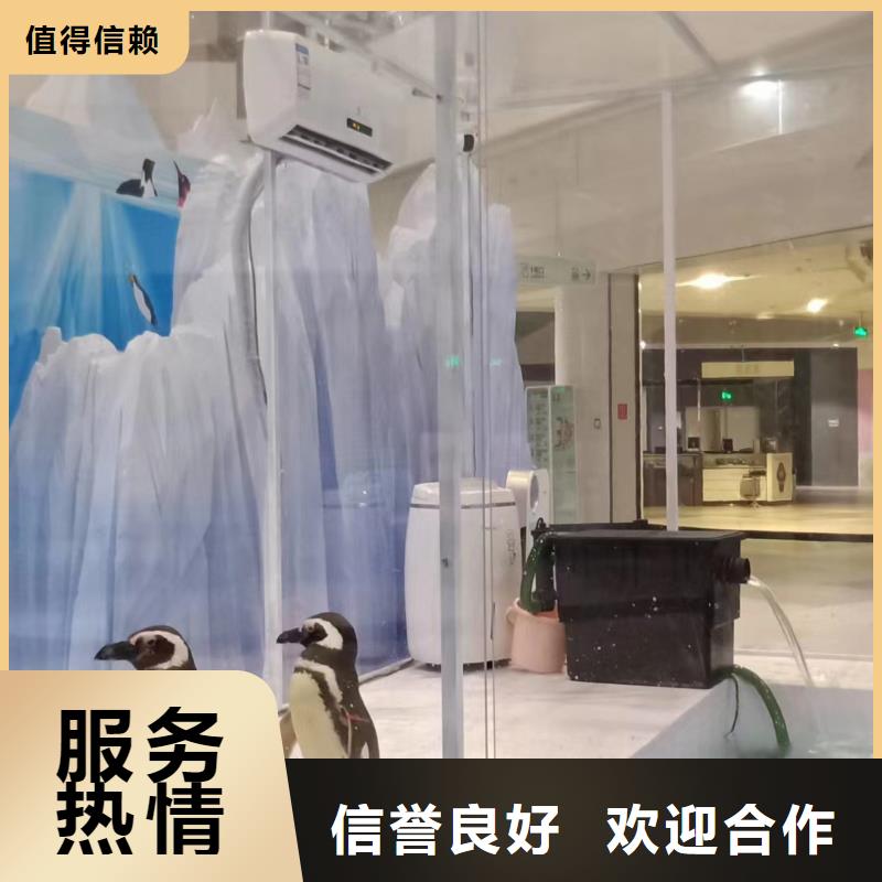 鳄鱼表演租赁联系方式
