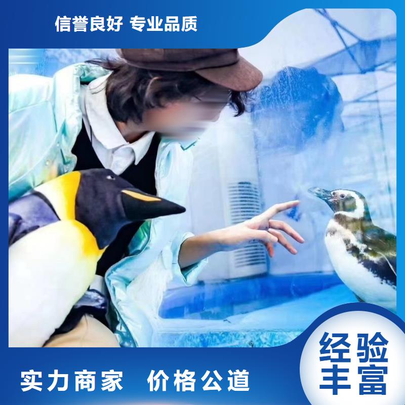 海洋主题动物表演环球飞车表演出租明码标价