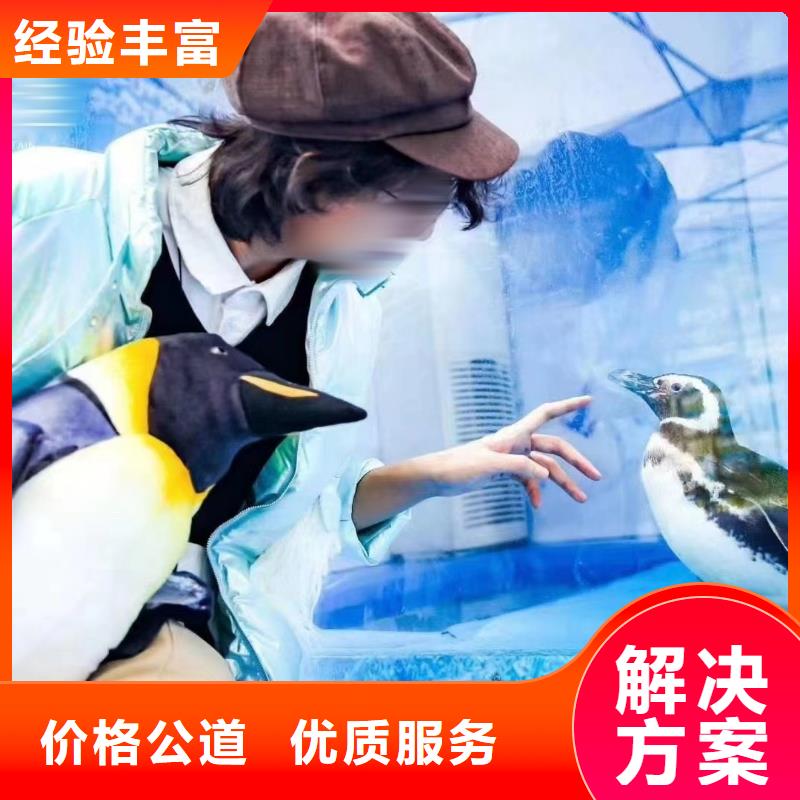 海洋生物展租赁暖场活动