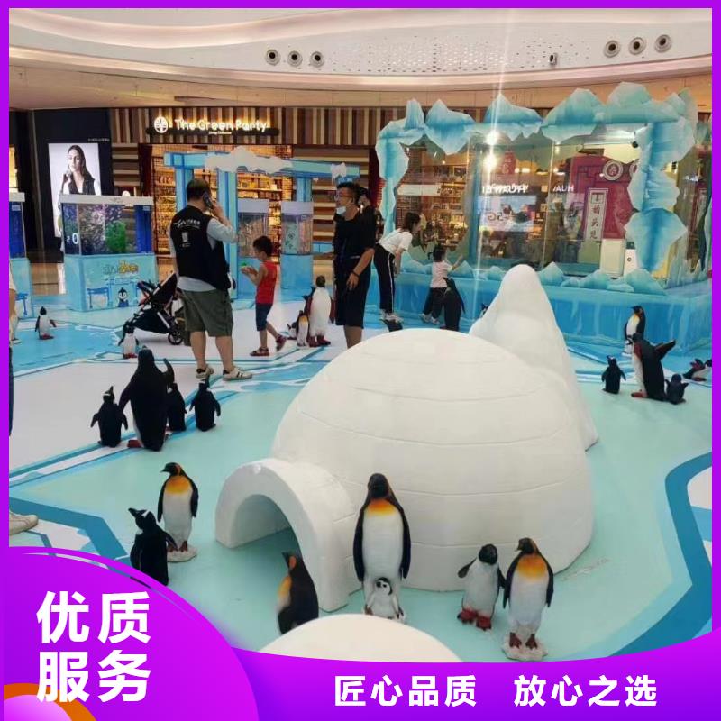 【海洋主题动物表演】鹦鹉表演出租实力商家