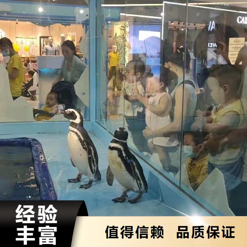 海洋生物展出租品种多价格低