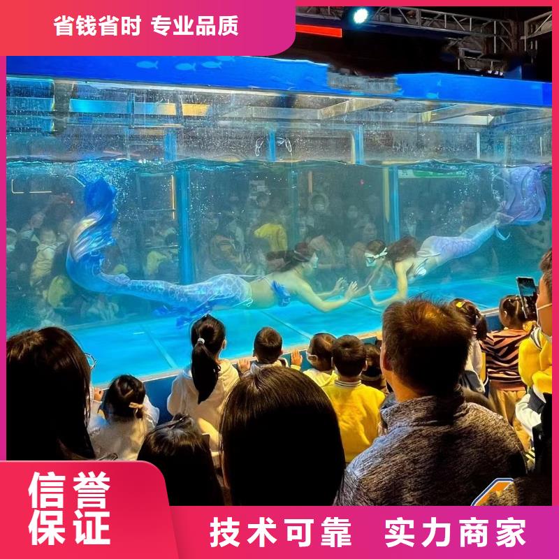 出租企鹅哪里有