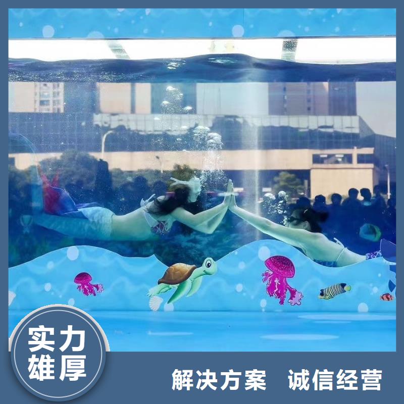 海狮表演出租海洋主题