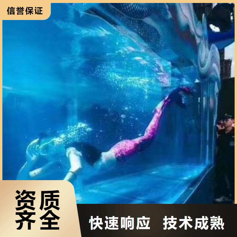 海洋主题动物表演-羊驼出租讲究信誉