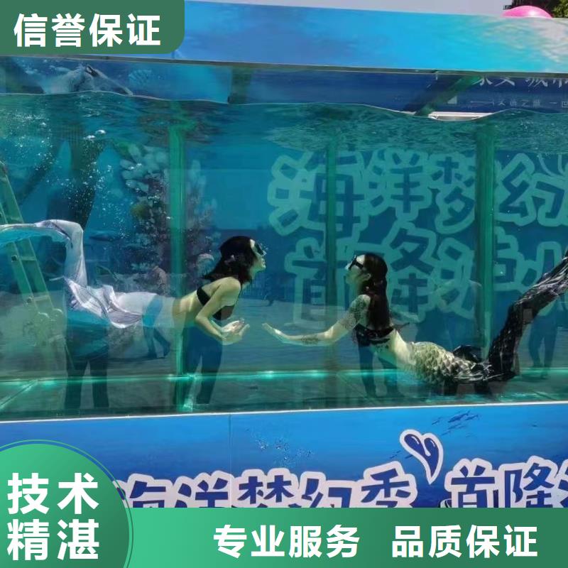 海洋主题动物表演,【马戏团表演出租】专业团队