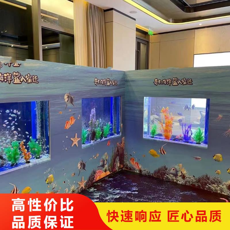 海洋主题动物表演-【海狮表演租赁】价格低于同行
