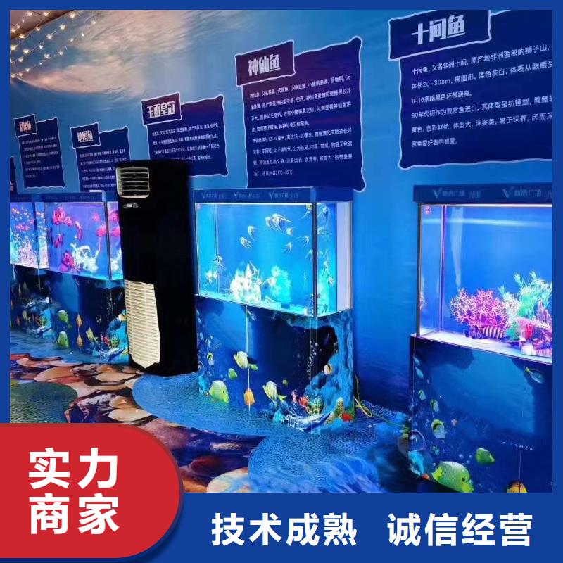 海洋主题动物表演【马戏团表演出租租赁】技术精湛