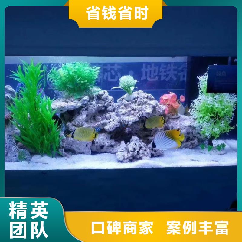 海洋主题动物表演【小香猪宠物出租】口碑公司