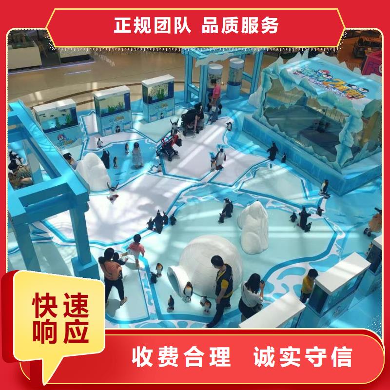海洋主题动物表演【马戏团表演出租租赁】技术精湛