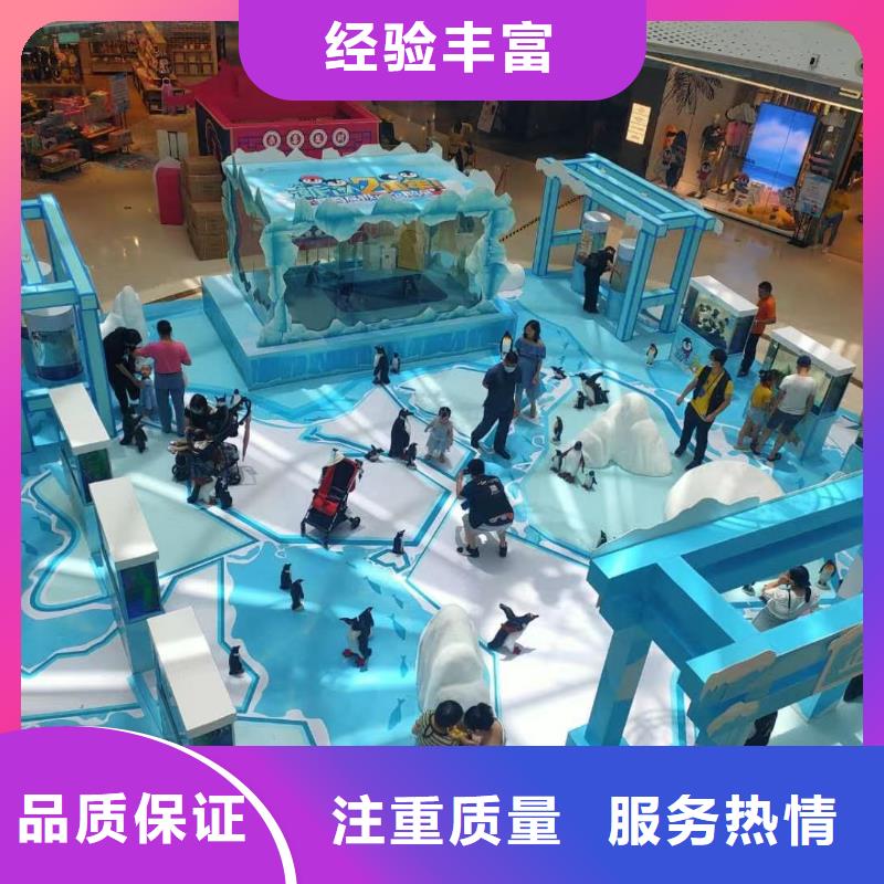 海洋主题动物表演,【马戏团表演出租】专业团队