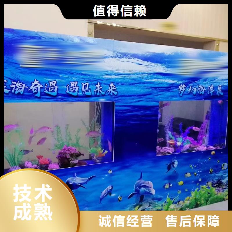 海洋主题动物表演,【马戏团表演出租】专业团队
