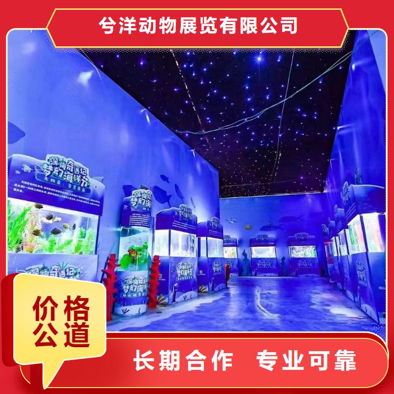 海洋主题动物表演-【海狮表演租赁】价格低于同行
