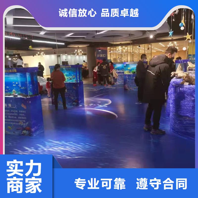 海洋主题动物表演-【海狮表演租赁】价格低于同行