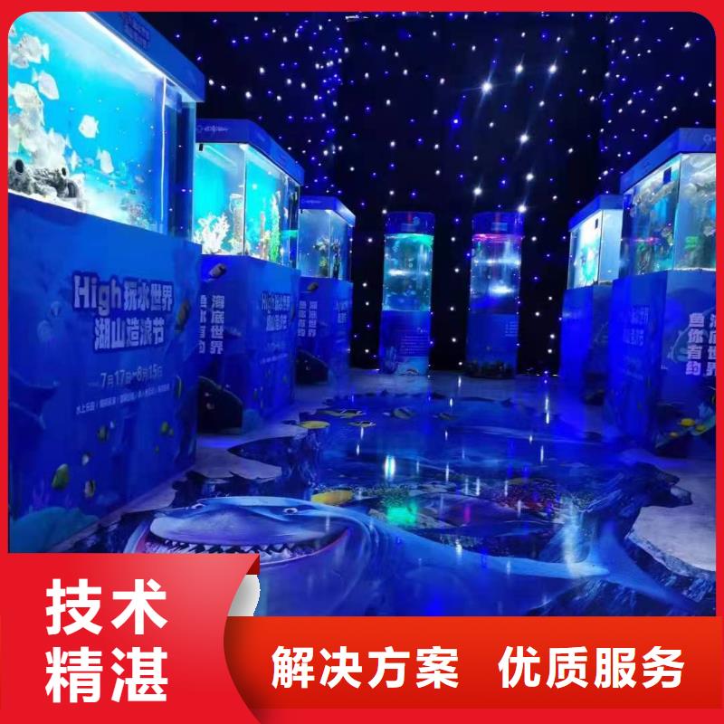 海洋主题动物表演海狮表演出租质优价廉