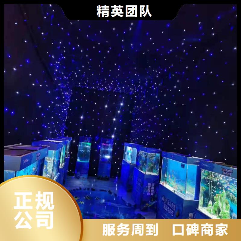 海洋主题动物表演海狮表演出租质优价廉