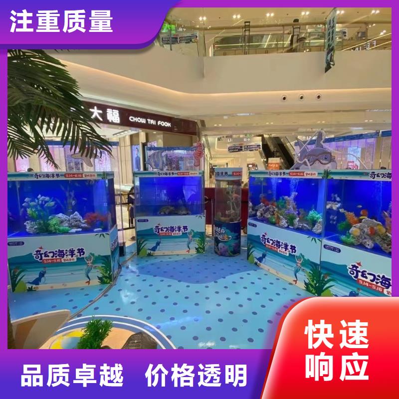 海洋主题动物表演【马戏团表演出租租赁】技术精湛