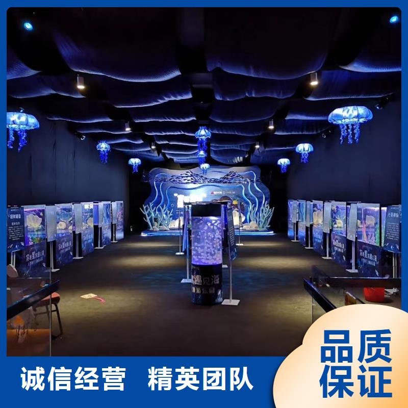 海洋主题动物表演【马戏团表演出租租赁】技术精湛