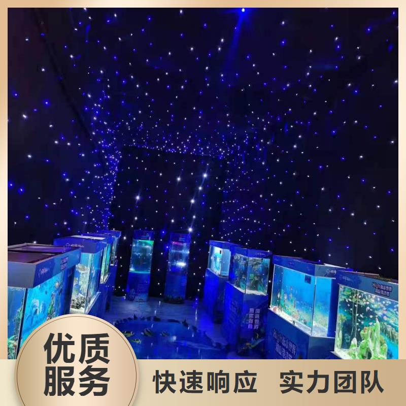 海洋主题动物表演动物表演知名公司
