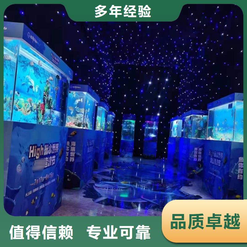 【海洋主题动物表演】鹦鹉表演出租实力商家