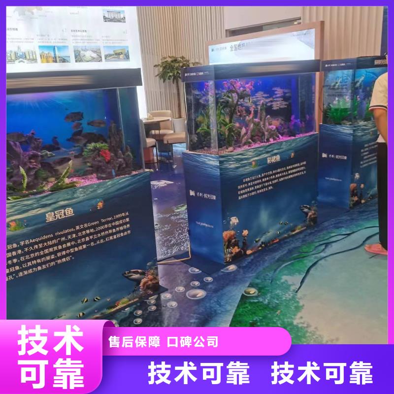 海洋主题动物表演羊驼出租放心