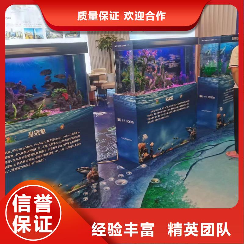 海狮表演出租海洋主题