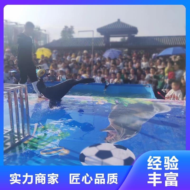 哪有出租企鹅展览的商场活动