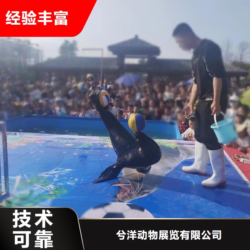 租赁美人鱼表演创意方案