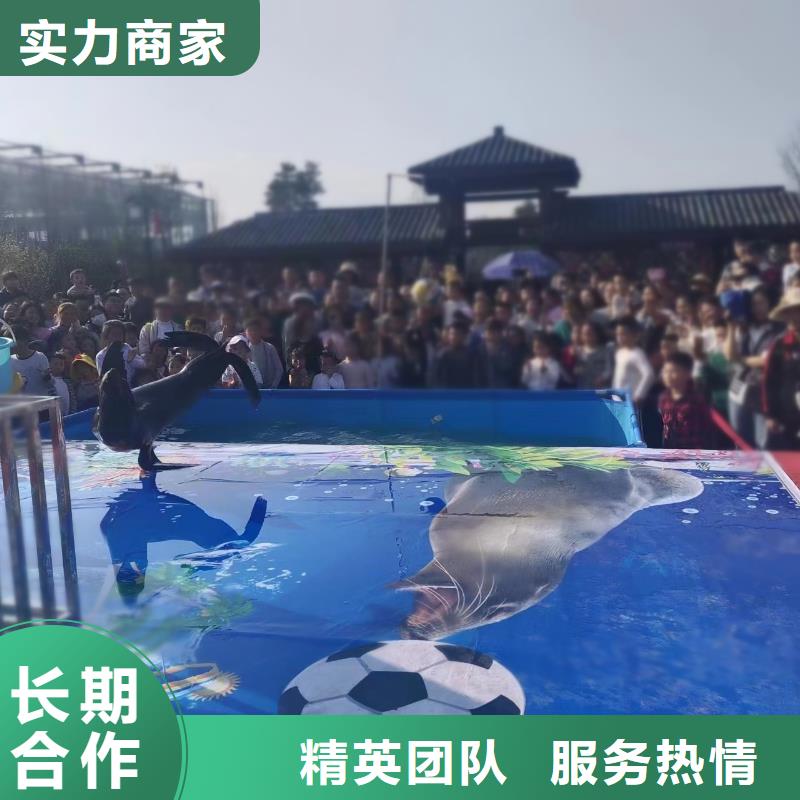 海洋生物展租赁暖场活动