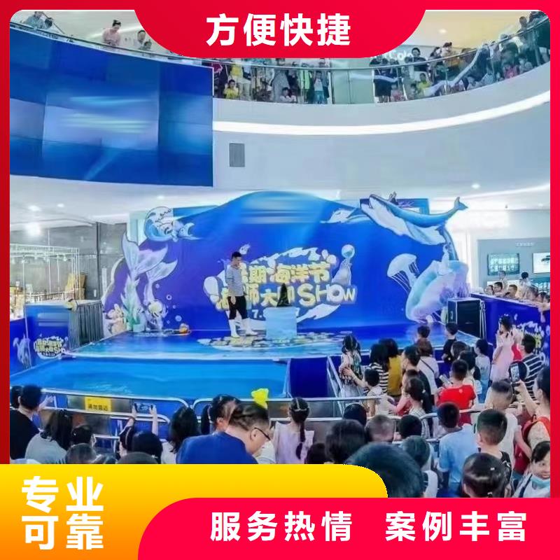 海洋主题动物表演羊驼出租放心