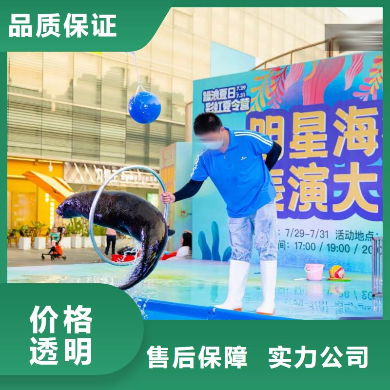 海洋主题动物表演,【马戏团表演出租】专业团队