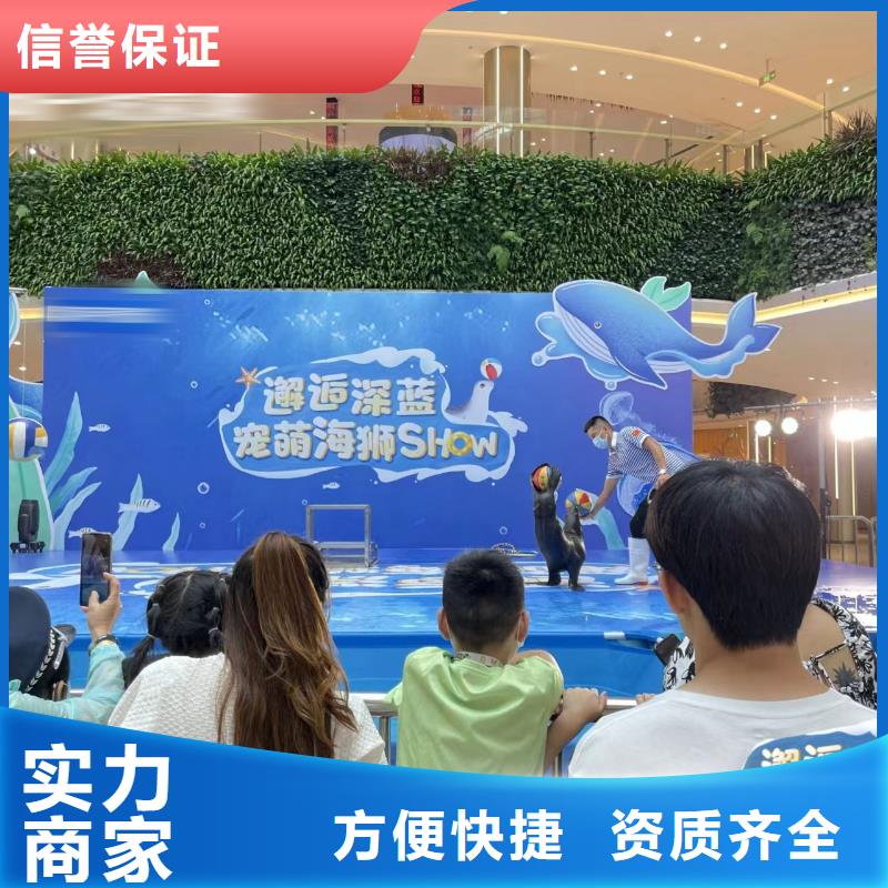 海洋主题动物表演动物表演知名公司
