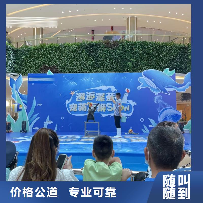 海洋主题动物表演海狮表演出租质优价廉