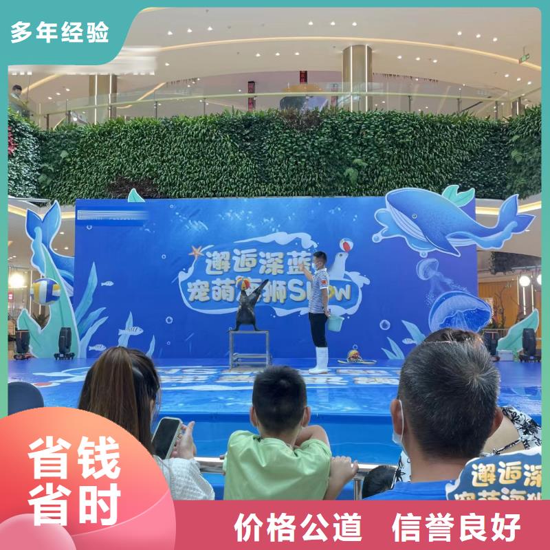 海洋主题动物表演马戏团表演收费合理